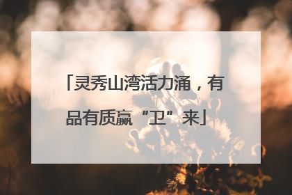 灵秀山湾活力涌，有品有质赢“卫”来