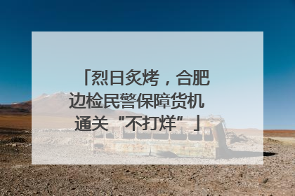 烈日炙烤，合肥边检民警保障货机通关“不打烊”