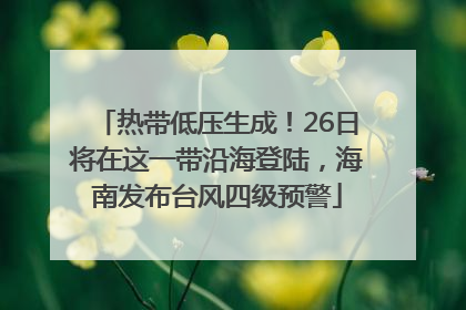 热带低压生成！26日将在这一带沿海登陆，海南发布台风四级预警
