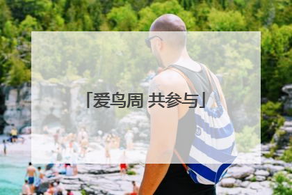 爱鸟周 共参与