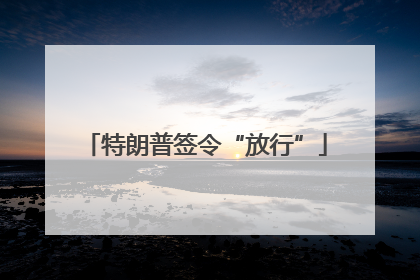 特朗普签令“放行”