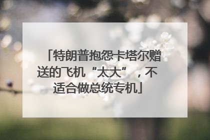 特朗普抱怨卡塔尔赠送的飞机“太大”，不适合做总统专机