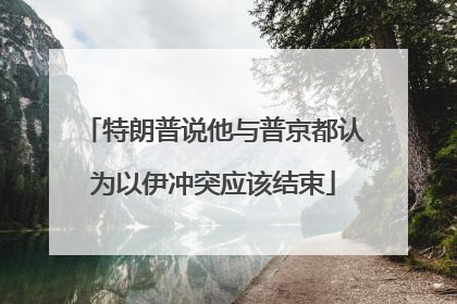 特朗普说他与普京都认为以伊冲突应该结束