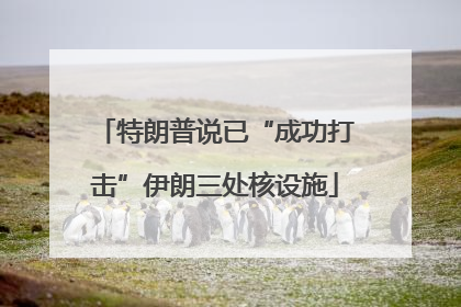特朗普说已“成功打击”伊朗三处核设施