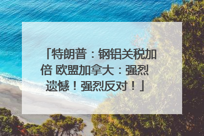 特朗普：钢铝关税加倍 欧盟加拿大：强烈遗憾！强烈反对！