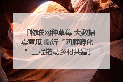 物联网种草莓 大数据卖黄瓜 临沂“四雁孵化”工程链动乡村共富