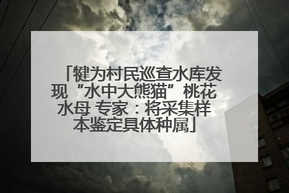 犍为村民巡查水库发现“水中大熊猫”桃花水母 专家：将采集样本鉴定具体种属