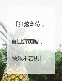 狂炫蓝莓，夏日游黄陂，快乐不宕机