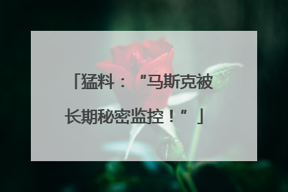 猛料：“马斯克被长期秘密监控！”