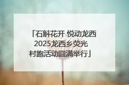 石斛花开 悦动龙西 2025龙西乡荧光村跑活动圆满举行