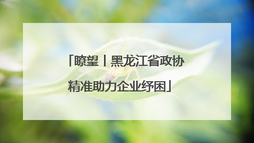 瞭望丨黑龙江省政协精准助力企业纾困