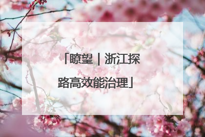 瞭望｜浙江探路高效能治理