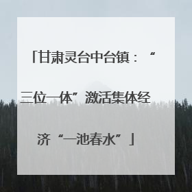 甘肃灵台中台镇：“三位一体”激活集体经济“一池春水”