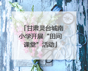 甘肃灵台城南小学开展“田间课堂”活动
