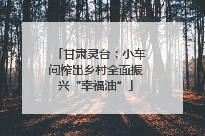 甘肃灵台：小车间榨出乡村全面振兴“幸福油”