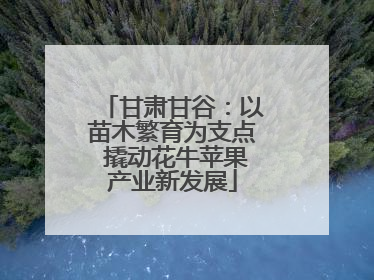 甘肃甘谷：以苗木繁育为支点 撬动花牛苹果产业新发展