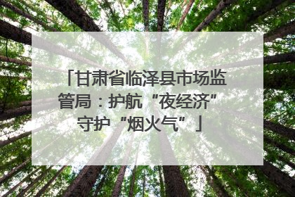 甘肃省临泽县市场监管局：护航“夜经济” 守护“烟火气”