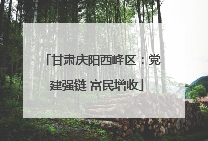 甘肃庆阳西峰区：党建强链 富民增收