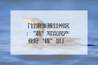 甘肃张掖甘州区：“蔬”写富民产业好“钱”景