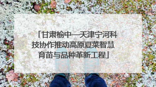 甘肃榆中—天津宁河科技协作推动高原夏菜智慧育苗与品种革新工程