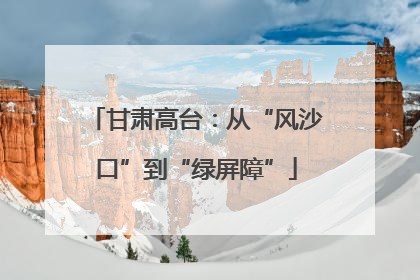 甘肃高台：从“风沙口”到“绿屏障”