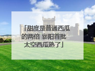 甜度是普通西瓜的两倍 襄阳首批太空西瓜熟了