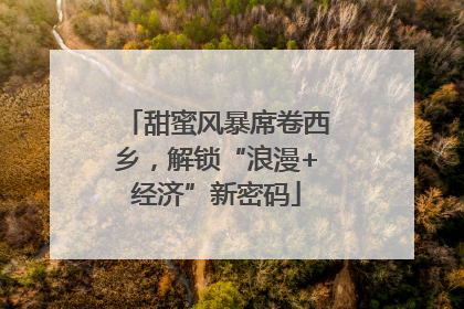 甜蜜风暴席卷西乡，解锁“浪漫+经济”新密码
