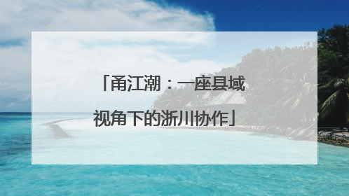 甬江潮：一座县域视角下的浙川协作