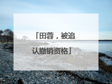田蓉，被追认撤销资格