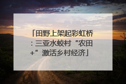 田野上架起彩虹桥：三亚水蛟村“农田+”激活乡村经济
