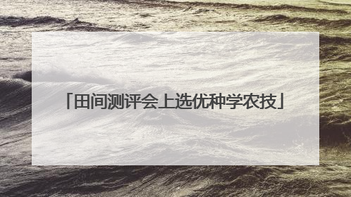 田间测评会上选优种学农技