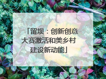 留坝：创新创意大赛激活和美乡村建设新动能