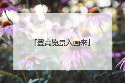 登高览景入画来