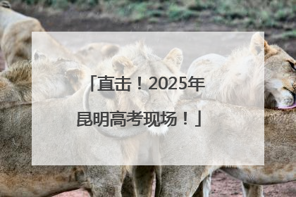 直击！2025年昆明高考现场！