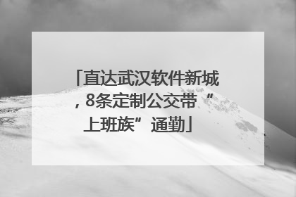 直达武汉软件新城，8条定制公交带“上班族”通勤