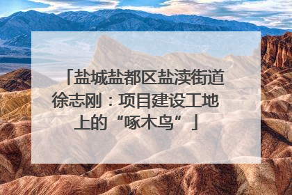 盐城盐都区盐渎街道徐志刚：项目建设工地上的“啄木鸟”