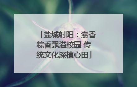 盐城射阳：囊香粽香飘溢校园 传统文化深植心田