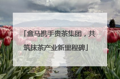 盒马携手贵茶集团，共筑抹茶产业新里程碑