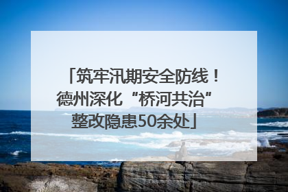 筑牢汛期安全防线！德州深化“桥河共治”整改隐患50余处