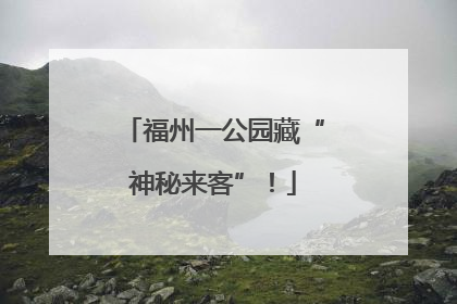 福州一公园藏“神秘来客”！