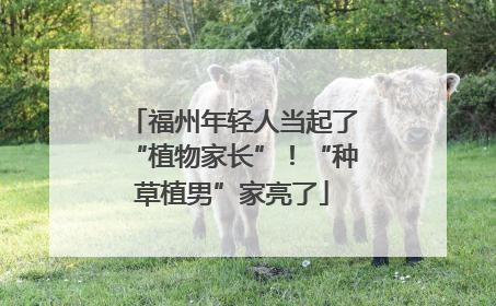 福州年轻人当起了“植物家长”！“种草植男”家亮了
