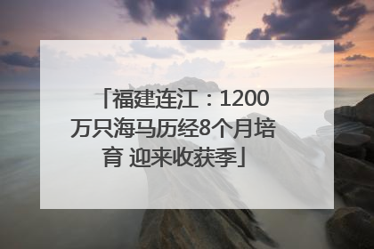 福建连江：1200万只海马历经8个月培育 迎来收获季