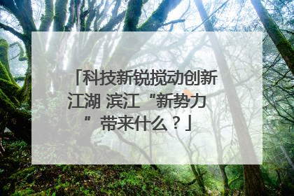 科技新锐搅动创新江湖 滨江“新势力”带来什么？