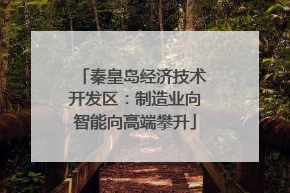 秦皇岛经济技术开发区：制造业向智能向高端攀升