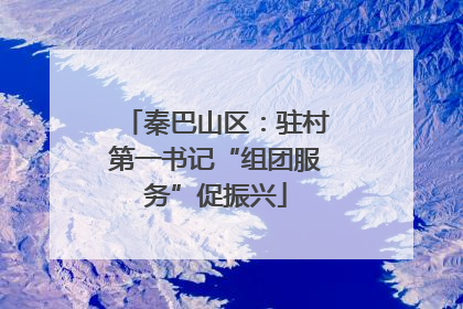 秦巴山区：驻村第一书记“组团服务”促振兴
