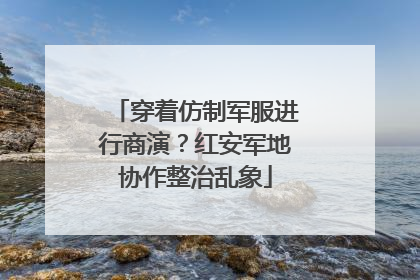 穿着仿制军服进行商演？红安军地协作整治乱象