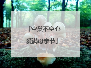 空巢不空心 爱满母亲节