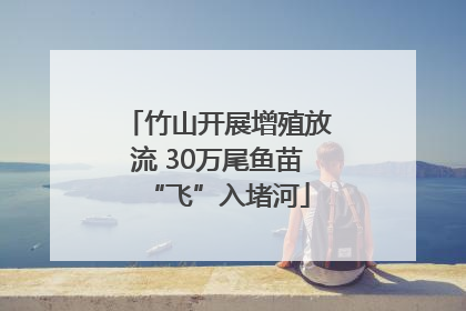 竹山开展增殖放流 30万尾鱼苗“飞”入堵河
