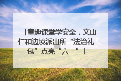 童趣课堂学安全，文山仁和边境派出所“法治礼包”点亮“六一”