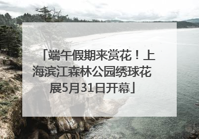端午假期来赏花！上海滨江森林公园绣球花展5月31日开幕